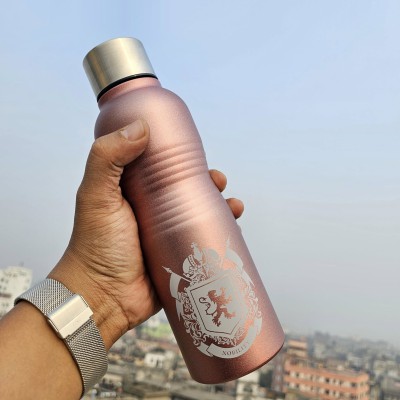 Stainless Steel Water Bottles-750ml