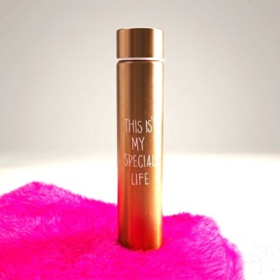 SI-19 Stainless Steel Slim Water Bottle 310ml | Leakproof Vacuum Flask, (Coffee Brown}